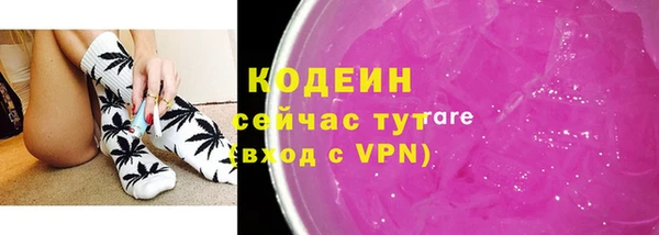 крисы Покачи