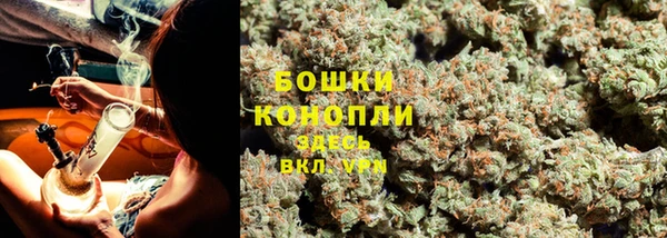 спиды Пестово