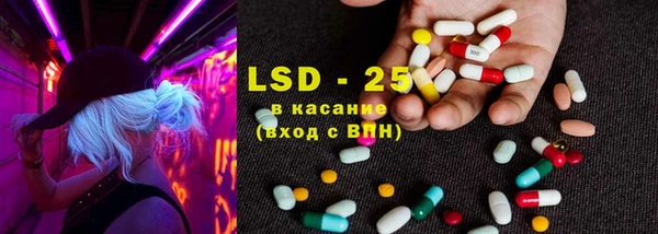 крисы Покачи
