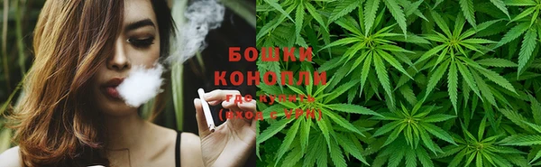 гидра Чехов