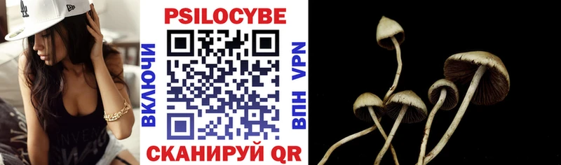 darknet телеграм  Болхов  Галлюциногенные грибы Psilocybe 