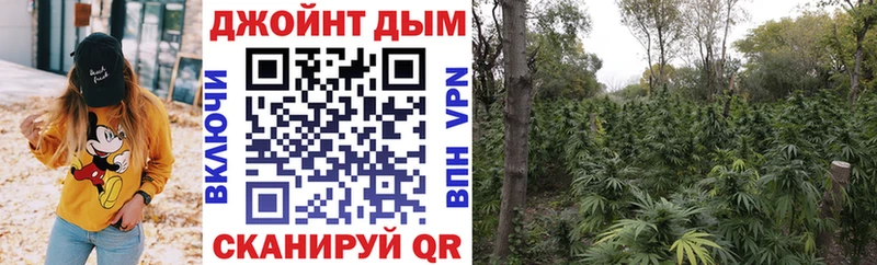 Конопля LSD WEED  Болхов 